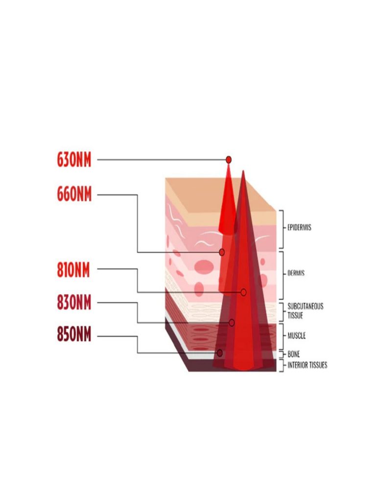 red light therapy company